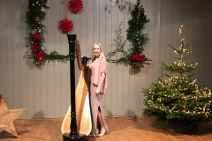 Solo-Adventskonzert 2018