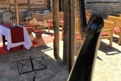 freie Trauung in der Ehrenburg, Juli 2020