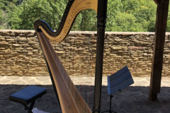 freie Trauung in der Ehrenburg, Juli 2020