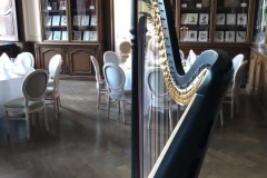 musikalische Begleitung beim Essen, Schloss Dyck, August 2018