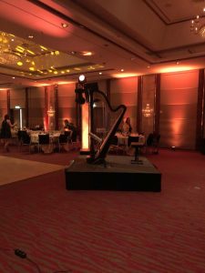 Harfenmelodie, Paula Naumann